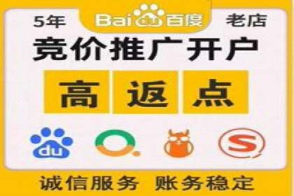 百度竞价广告在电商行业的实战应用案例